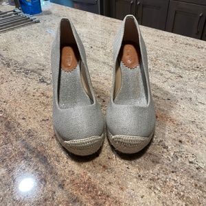 Silver Wedge Shoe